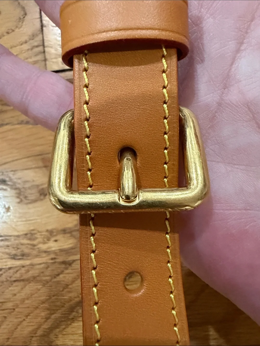 Louis Vuitton Nil Monogram Crossbody Bag in Brown and Tan NWOT